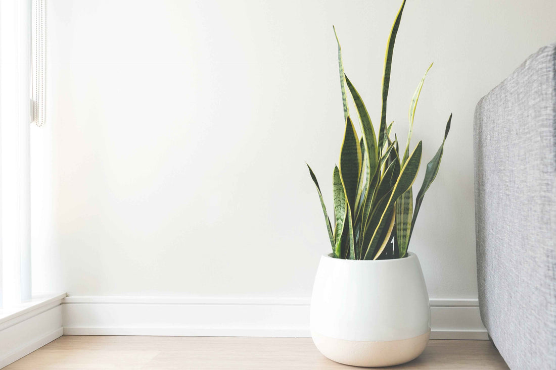 How to Effectively Decorate Small Spaces for Maximum Style - Elden Home